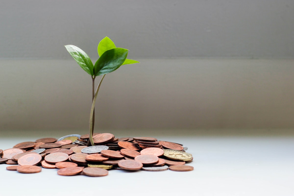 A small plant growing alongside coins, symbolising long-term wealth